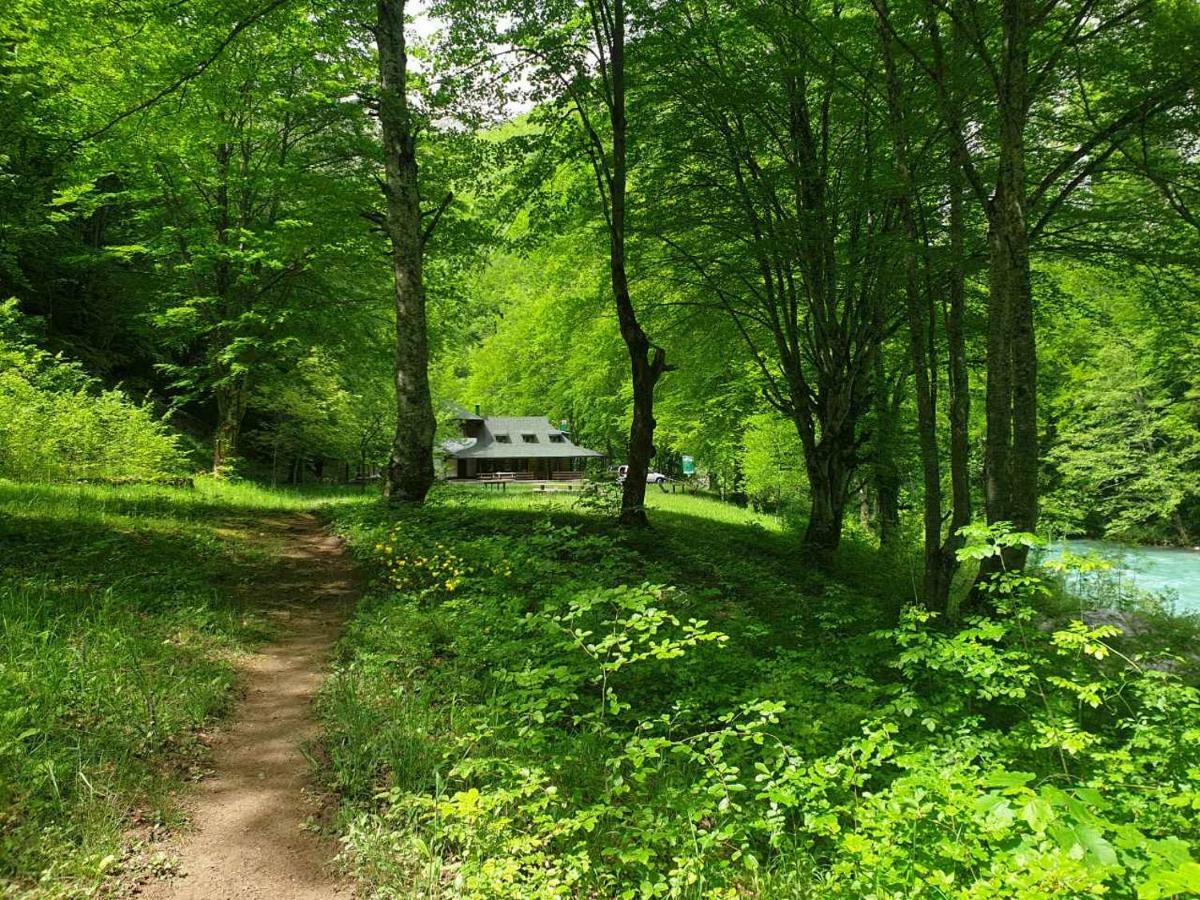 Apartmani Cetkovic Zabljak  Bagian luar foto